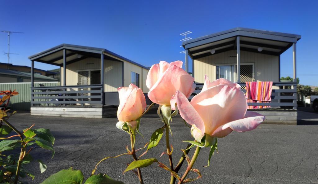 Apollo Bay Holiday Park Exterior foto